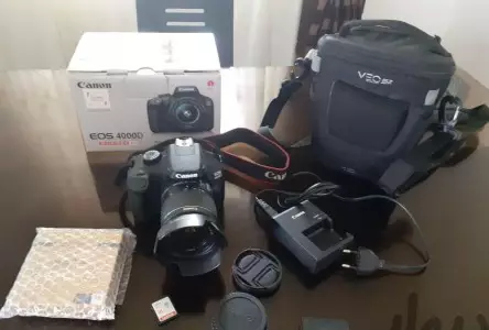 stock