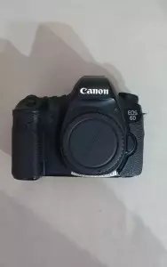 stock