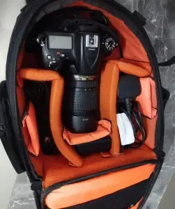 stock