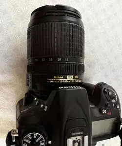 stock