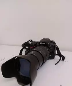stock