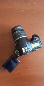 stock