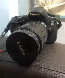 stock