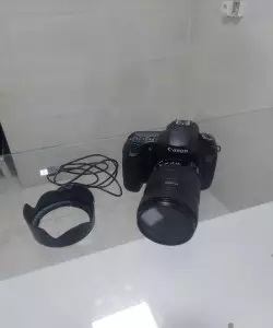 stock