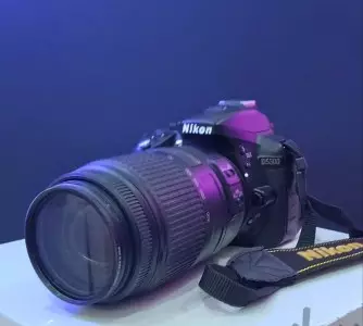 stock