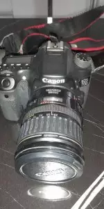 stock