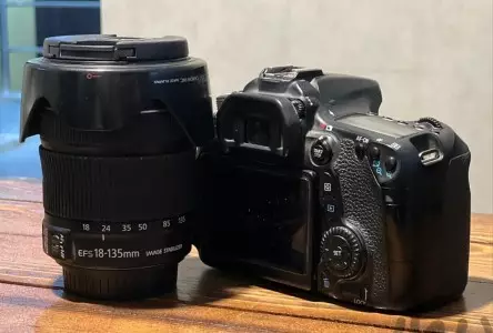 stock