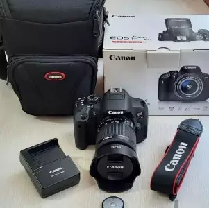 stock