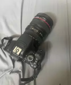 stock