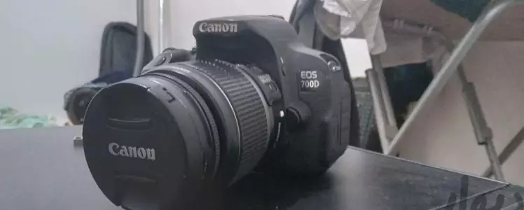 stock
