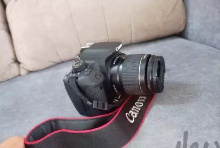 stock