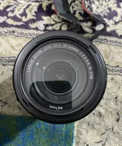 stock