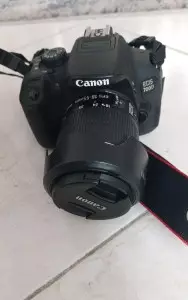 stock