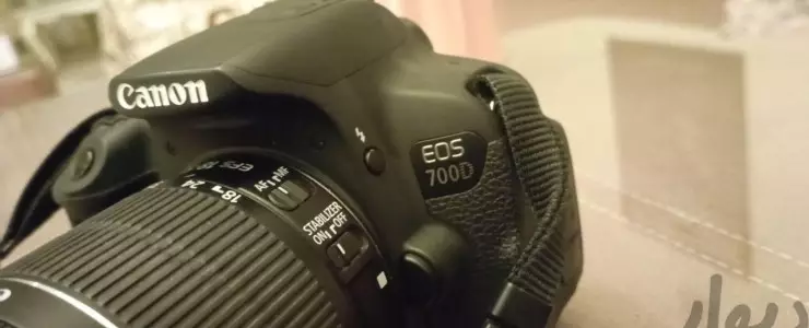 stock