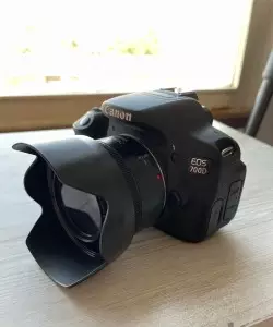 stock