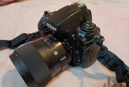 stock