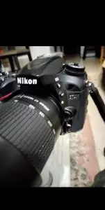 stock