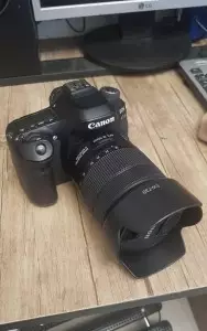 stock