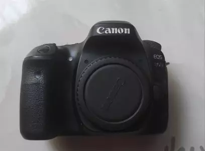 stock