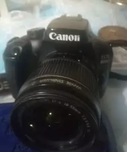 stock