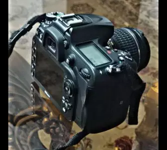 stock
