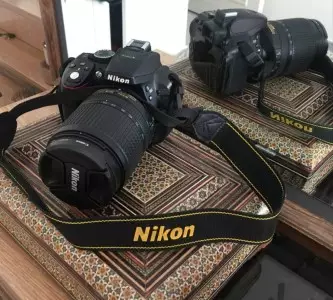 stock