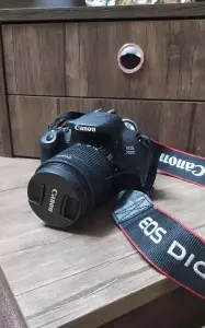 stock