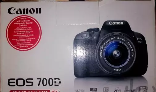 stock
