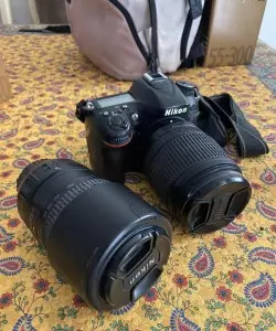 stock