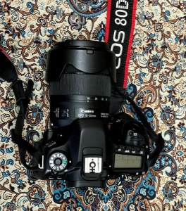 stock