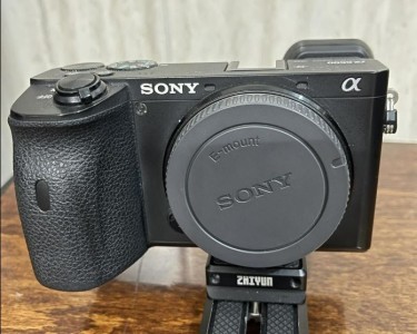 stock