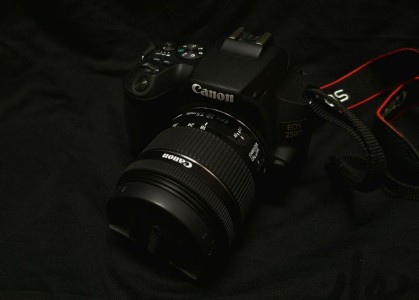 stock