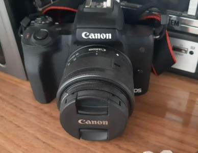 stock