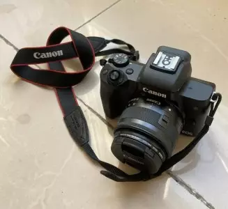 stock