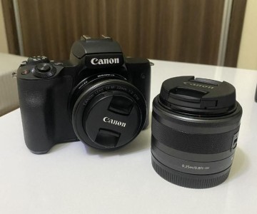 stock