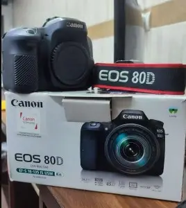 stock