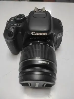 stock
