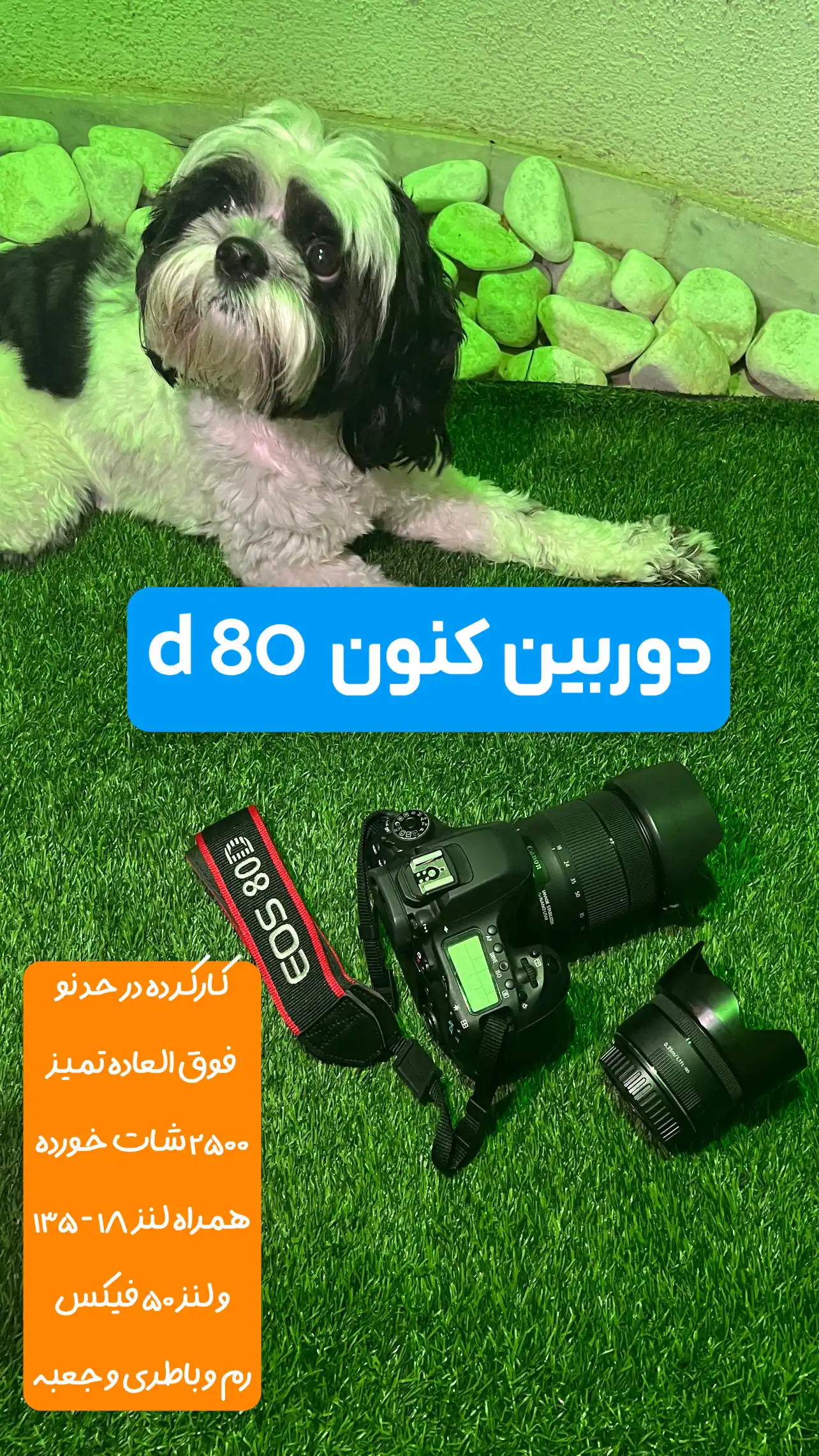 دوربین کنون ۸۰ دی دست دو