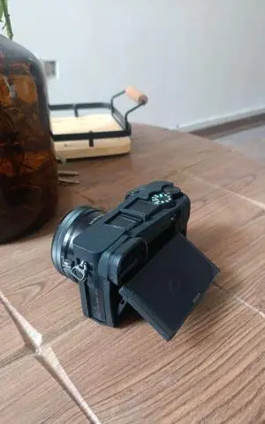 stock