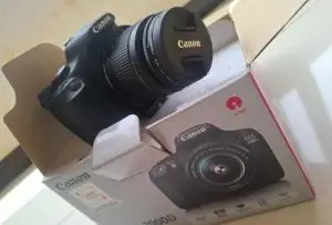 stock
