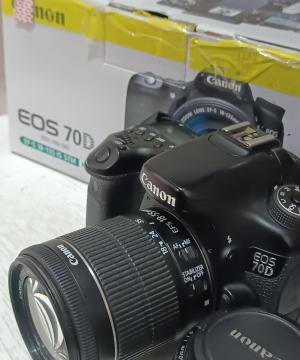 stock