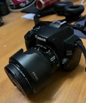 stock