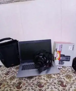 stock
