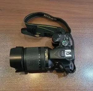stock