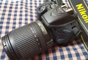 stock