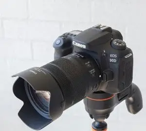 stock