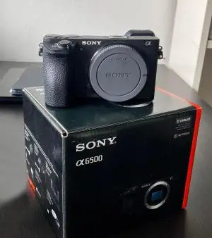 stock