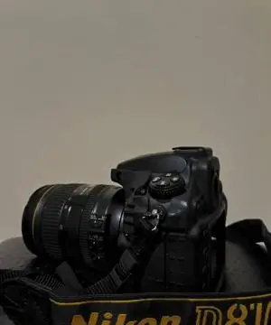 stock