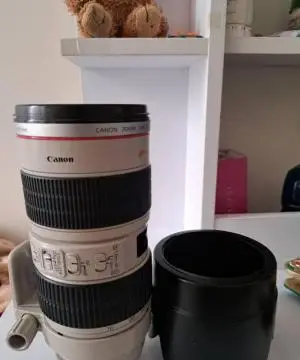 stock