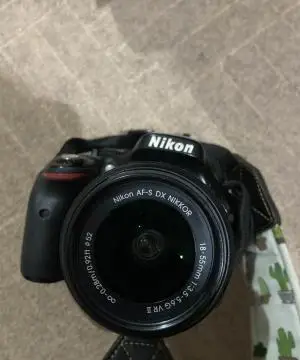 stock